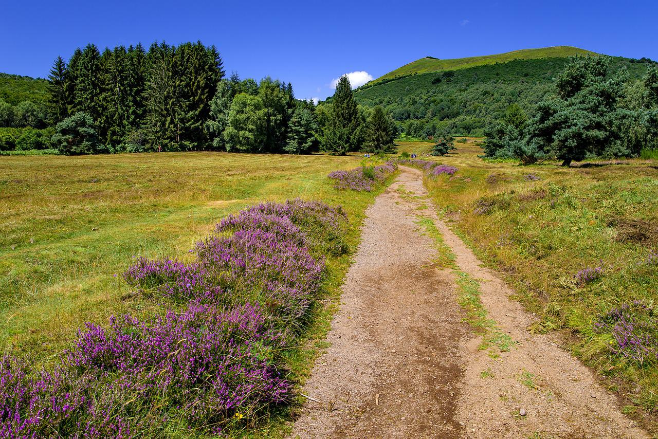 photo d'un sentier à la campagne avec des volcans en arrière plan