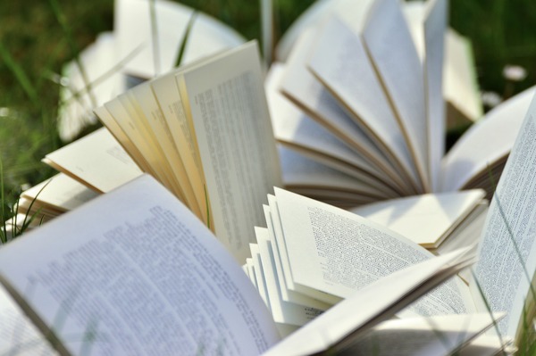 livres ouverts dans l'herbe