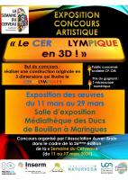 Exposition concours artistique "le cervolympique en 3D"